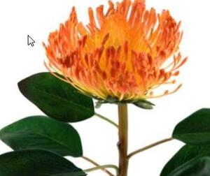 Animadecor Umělá květina - Africká protea oranžová