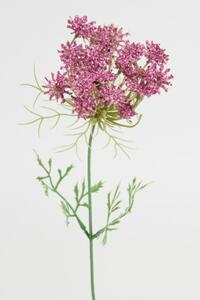 Animadecor Umělá květina - Trachelium růžové