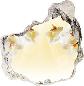 Samolepící díra na stěnu nálepka Orchidej nd-p-72852358