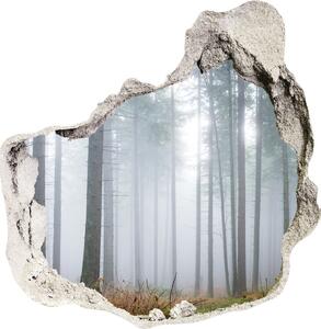 Nálepka fototapeta 3D výhled Mlha v lese nd-p-74026356