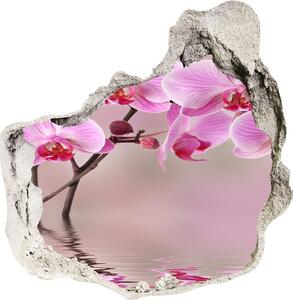 Samolepící díra na stěnu Růžová orchidej nd-p-79883275