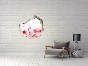 Samolepící díra na stěnu Květy višně nd-p-79943111