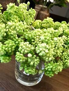 Animadecor Umělá květina - Sukulent zelené bobulky 20cm