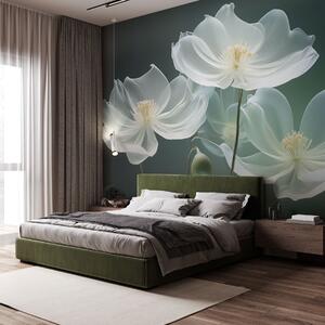 Fototapety Bílé jemné květy s průsvitnými okvětními lístky, Fototapety 3D, Fototapety 3d květiny, w03647 : uwalls.cz