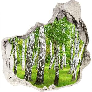 Nálepka fototapeta 3D výhled Břízový les nd-p-85613602