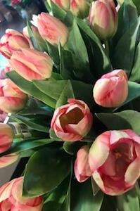 Animadecor Umělá květina - Tulipán žíhaný mix, 36 cm