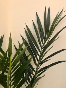Animadecor Umělá dekorace - Okrasná palma 120 cm