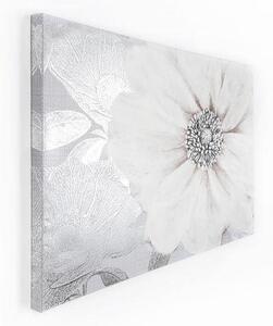 Bezrámový obraz - tisk na plátně - Grey Bloom 41-712, Wall Art, Graham Brown
