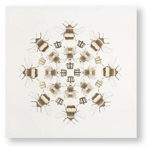 Bezrámový obraz - tisk na plátně - 105872, Beautiful Bees, Graham & Brown