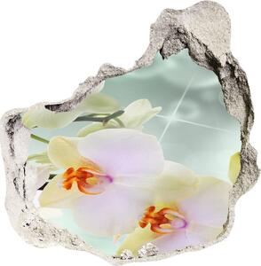 Samolepící díra nálepka Bílá orchidej nd-p-91133337