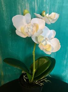 Animadecor Umělá rostlina - Orchidea mini bílá 23cm