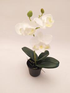 Animadecor Umělá rostlina - Orchidea mini bílá 23cm