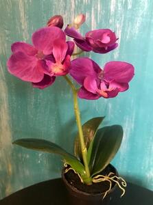 Animadecor Umělá rostlina - Orchidea mini fialová 23cm