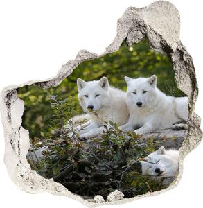 Fototapeta díra na zeď Bílí vlci skála nd-p-93949837