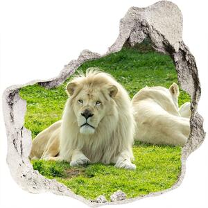 Samolepící díra nálepka Béžoví lvi nd-p-93716692