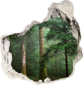 Díra 3D foto tapeta nálepka Mlha v lese nd-p-95330664