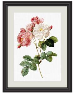 Obrázek damašské růže A5 (148 x 210 mm): A5