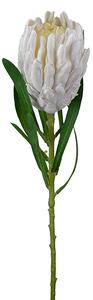Animadecor Umělá květina - Protea bílá 60cm