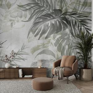 Fototapety Monstera a palmové listy v odstínech zelené a šedé, botanické, tropické listí, rostliny džungle,, Fototapety příroda, w09011 : uwalls.cz
