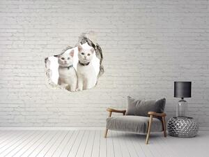 Nálepka fototapeta 3D na zeď Bílé kočky nd-p-97350767