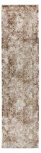 BĚHOUN, 80/300 cm, meruňková Kayoom - Online Only koberce & rohožky, Online Only