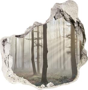 Nálepka 3D díra samolepící Mlha v lese nd-p-98968412