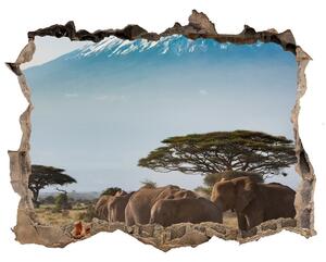 Díra 3D fototapeta Sloni Kilimandžáro nd-k-100418826