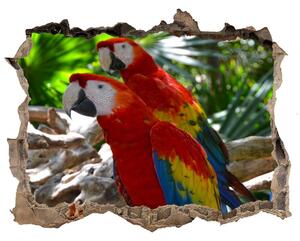 Díra 3D fototapeta nálepka Papoušek Ara nd-k-101702658