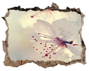 Samolepící nálepka na zeď Květ višně nd-k-102906126
