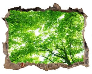 Samolepící nálepka fototapeta Zelený les nd-k-103615746