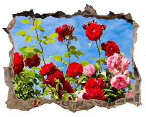 Samolepící nálepka na zeď Divoké růže nd-k-104021490