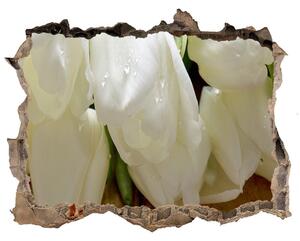 Samolepící nálepka fototapeta Bílé tulipány nd-k-104686883