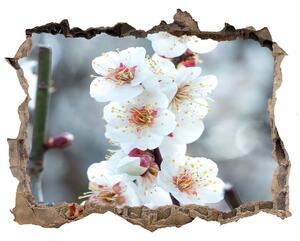 Samolepící nálepka fototapeta Květy višně nd-k-104952401