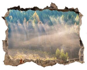 Fototapeta díra na zeď Mlha v lese nd-k-104886541