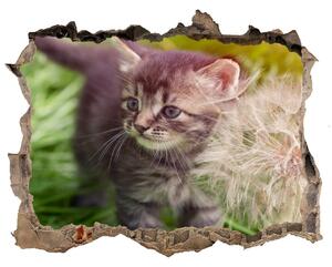 Díra 3D fototapeta nálepka Kočka s pampeliškou nd-k-107758068