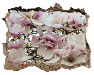 Samolepící nálepka fototapeta Květy magnolie nd-k-107287859