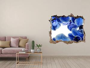 Fototapeta nálepka na zeď Modrá orchidej nd-k-108719239