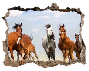 Díra 3D fototapeta nálepka Koně ve cvalu nd-k-108737059
