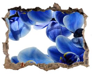 Fototapeta nálepka na zeď Modrá orchidej nd-k-108719239