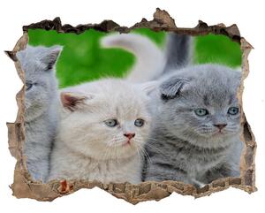 Díra 3D fototapeta nálepka Tři kočky na dece nd-k-112670236