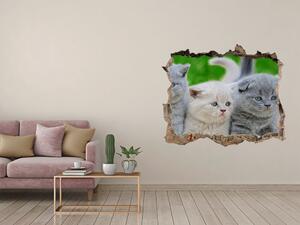 Díra 3D fototapeta nálepka Tři kočky na dece nd-k-112670236
