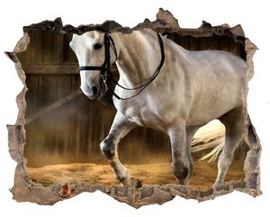 Díra 3D fototapeta na stěnu Bílý kůň ve stáji nd-k-113734003