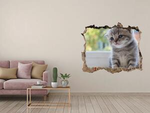 Díra 3D fototapeta na stěnu Malá kočka u okna nd-k-114401117