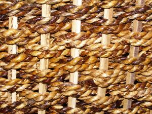 Jídelní židle LENKA - banánový list - konstrukce borovice