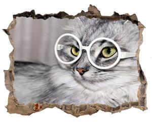 Díra 3D fototapeta nálepka Kočka v brýlích nd-k-115959381