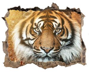 Díra 3D fototapeta na stěnu Bengálský tygr nd-k-116603957