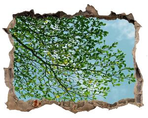 Díra 3D ve zdi nálepka Listí na nebi nd-k-116183782