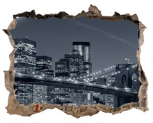 Fototapeta díra na zeď Manhattan New York nd-k-117559535