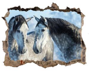 Díra 3D fototapeta nálepka Šedí koně zima nd-k-116887257