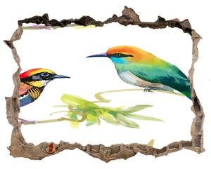 Díra 3D fototapeta na stěnu Egzotičtí ptáci nd-k-119482141